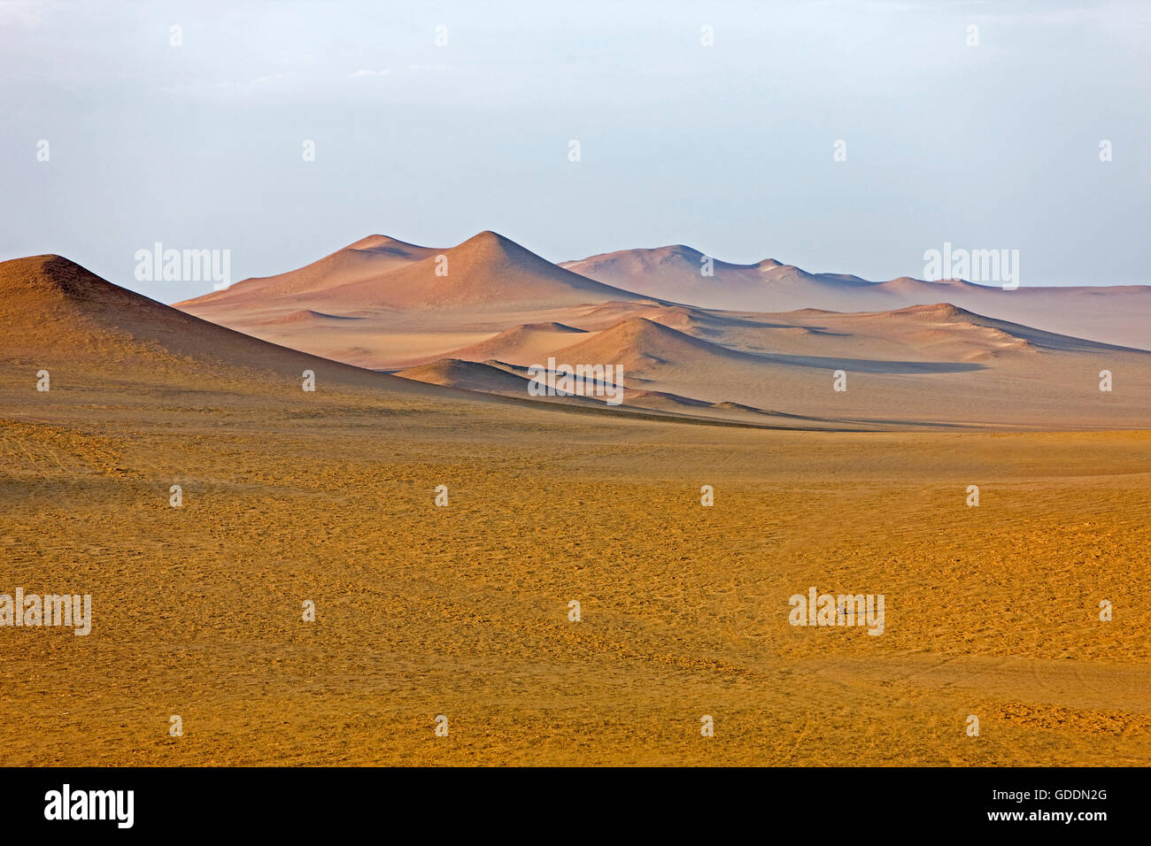 Paesaggio in Paracas National Park, Perù Foto Stock