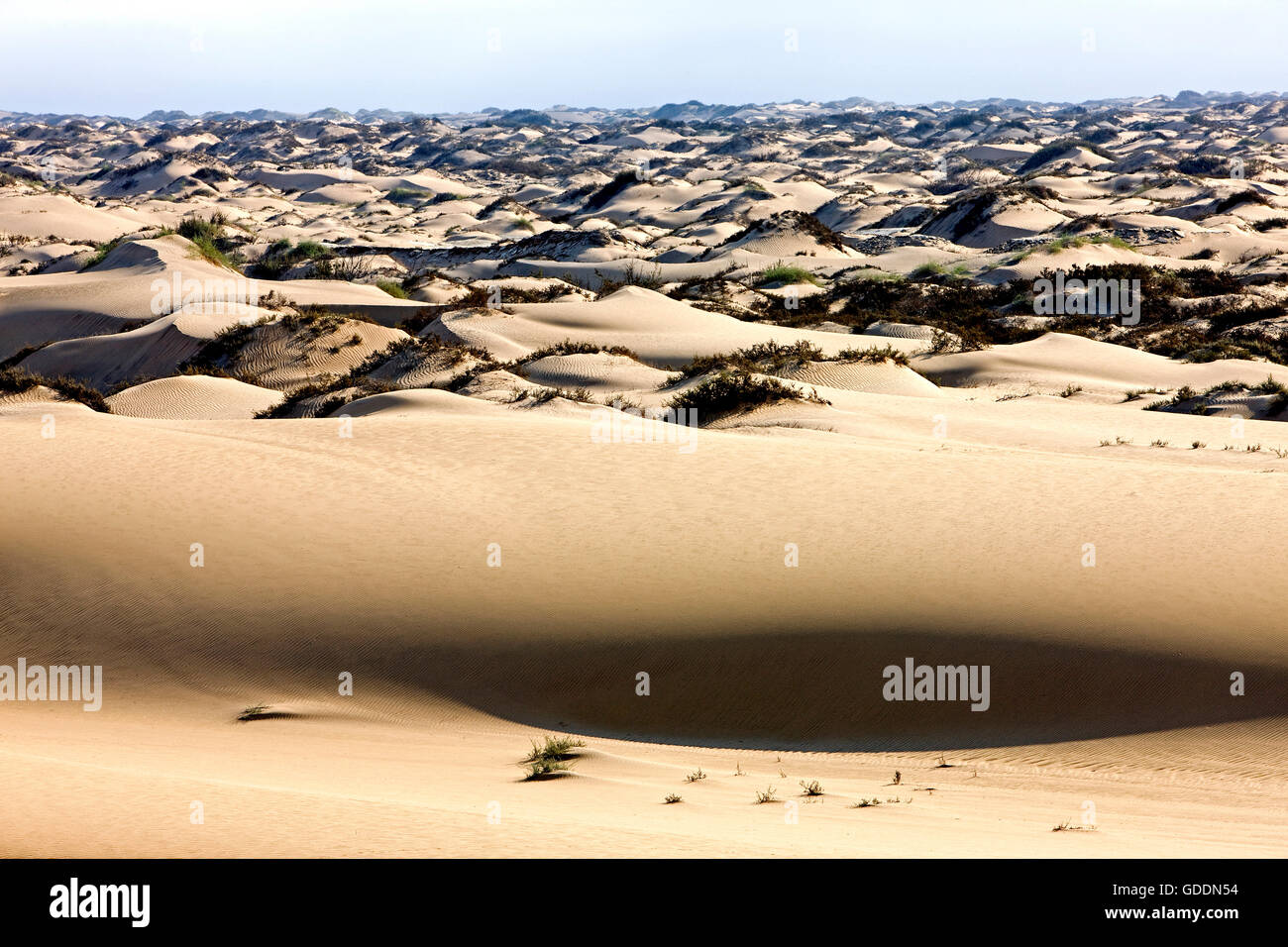 Le dune di sabbia vicino a Walvis Bay in Namibia Foto Stock