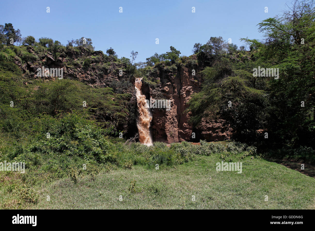 Vista della cascata, Fiume svuotamento nel lago, Makalia cascata, Lake Nakuru N.P., Great Rift Valley, Kenya Foto Stock