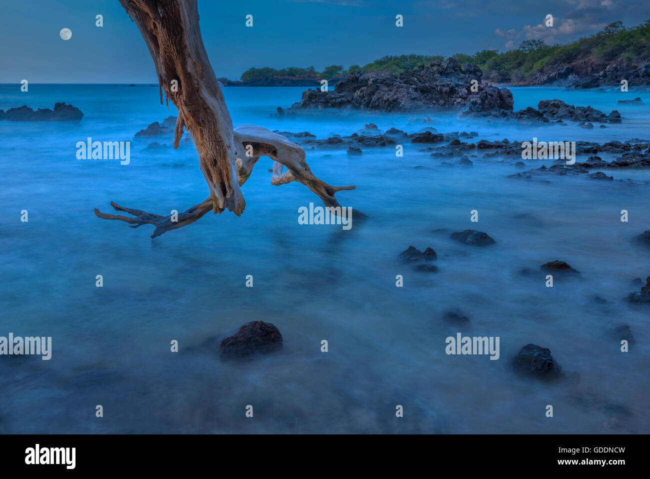 Stati Uniti d'America,Vereinigte Staaten,Amerika,Hawaii,Grande Isola,Hapuna Beach,Parco Statale, Foto Stock