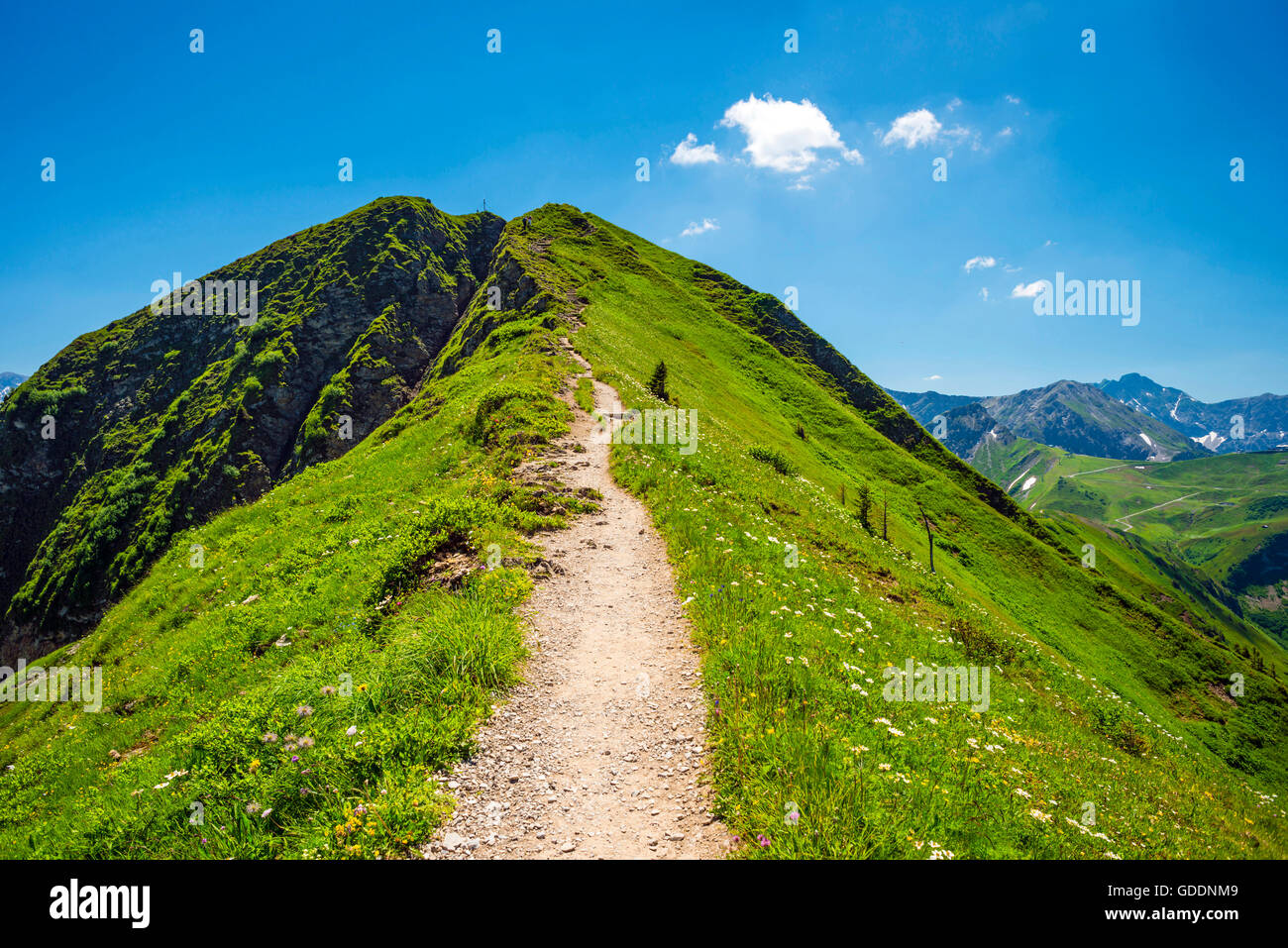 Il sentiero del Söllereck al Fellhorn,nel 2038 m,Algovia Alpi,Baviera,germania,l'Europa Foto Stock