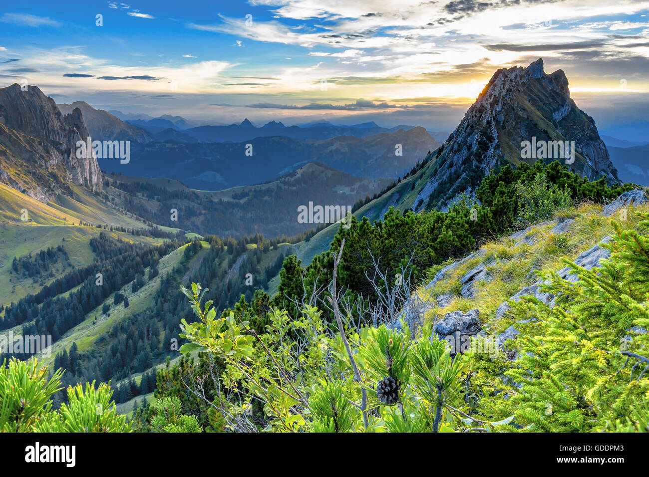 Natura,Landscape,pietra,Rock,Svizzera,Tree,alberi,l'estate,Cloud,Mountain,Brüggler,canton Glarona,Alpi Foto Stock