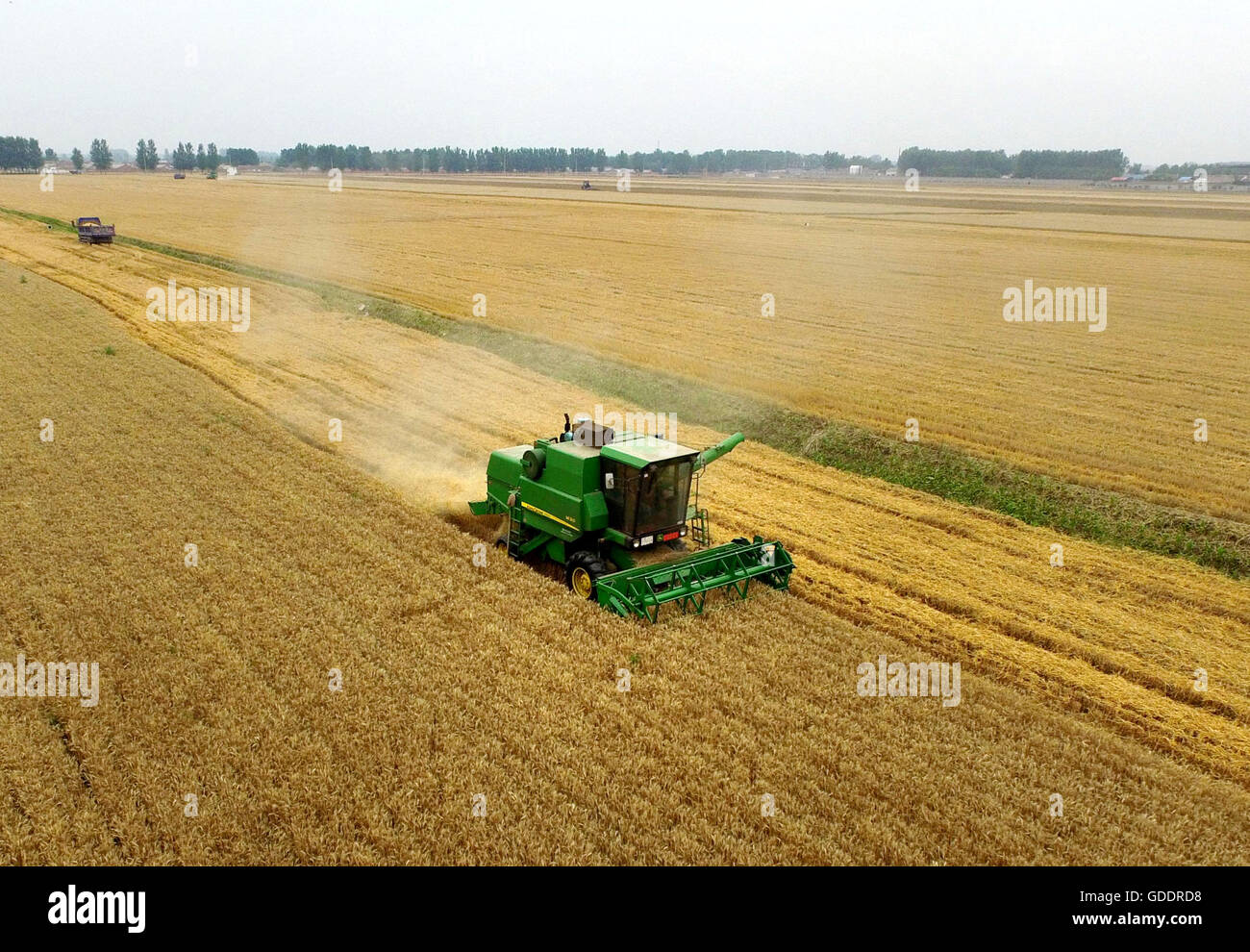 Zhengzhou, la Cina della Provincia di Henan. Il 3 giugno, 2016. Una mietitrebbia lavora in una fattoria in Xihua County, centrale cinese della Provincia di Henan, 3 giugno 2016. La Cina del prodotto interno lordo è cresciuto del 6,7 per cento anno su anno nel secondo trimestre del 2016, stabile rispetto al primo trimestre, l'Ufficio Nazionale di Statistica detto venerdì. © Li Bo/Xinhua/Alamy Live News Foto Stock
