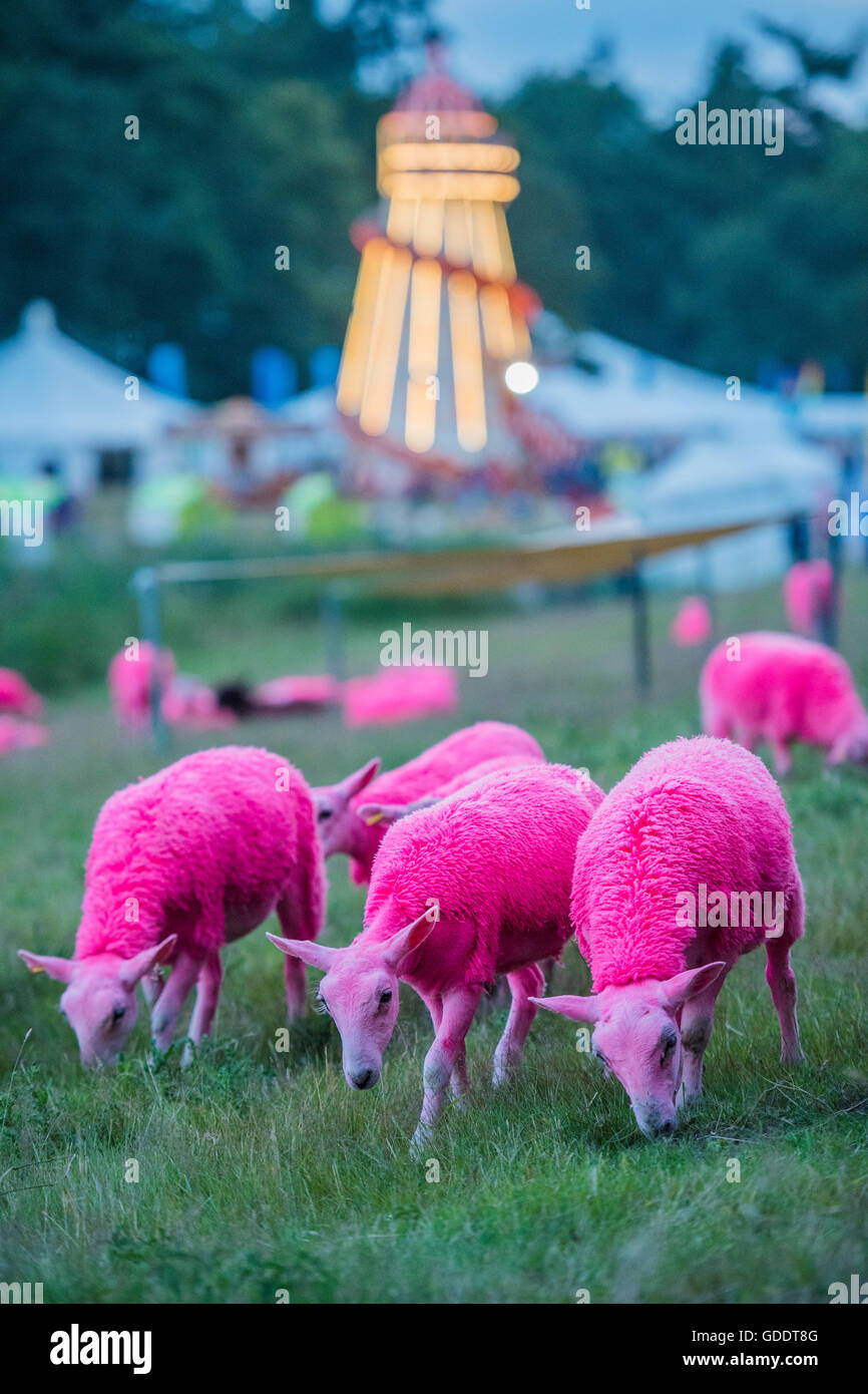 Henham Park, Suffolk, Regno Unito. 14 Luglio, 2016. Crepuscolo sopra il marchio dipinto di ovini e Helter Skelter - Il 2016 Latitude Festival, Henham Park, Suffolk. Credito: Guy Bell/Alamy Live News Foto Stock