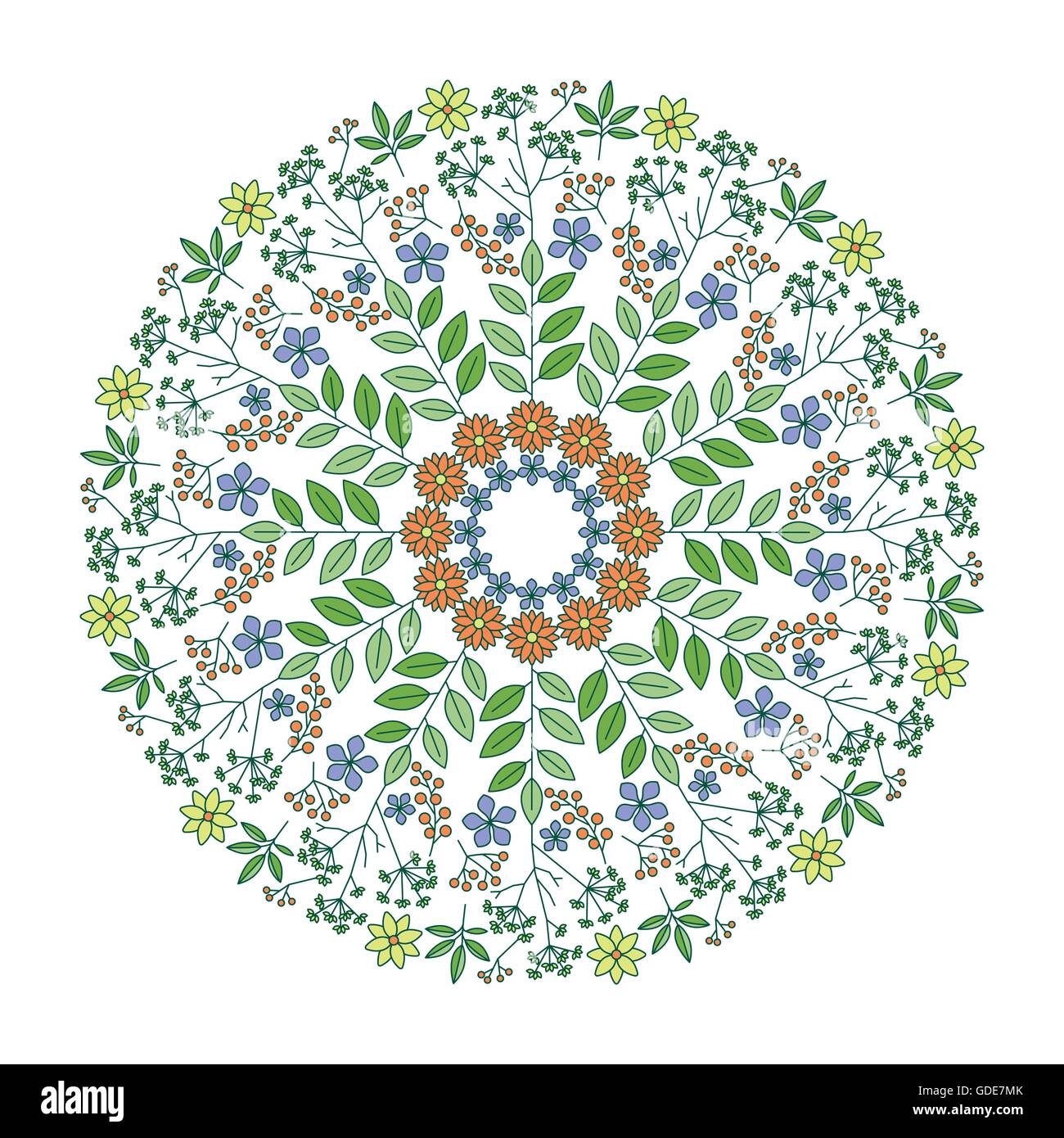Mandala di erbe con foglie, fiori e piante Illustrazione Vettoriale