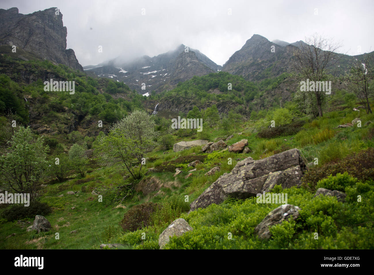 L'Italia,l'Europa,Nord Italia,Piemont,parco nazionale,Val Grande,Alpe Serena Foto Stock