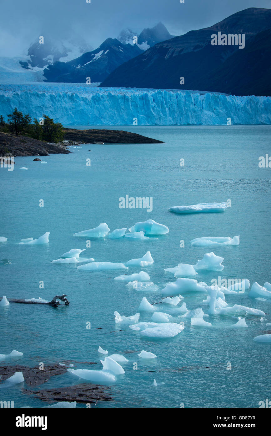 Sud America,Patagonia,l'Argentina,Santa Cruz, El Calafate,Los Glaciares,Parco Nazionale,,UNESCO Patrimonio Mondiale,Andes Foto Stock