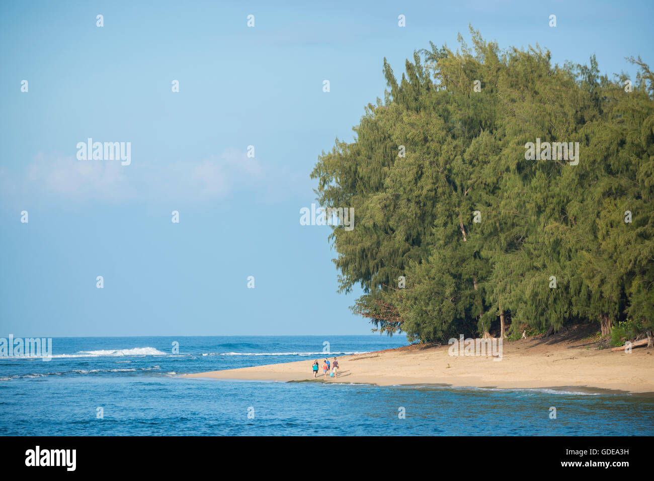 Stati Uniti d'America,Vereinigte Staaten,Amerika,Hawaii,Kauai,Hanalei,Haena,Parco Nazionale,ke'e spiaggia Foto Stock