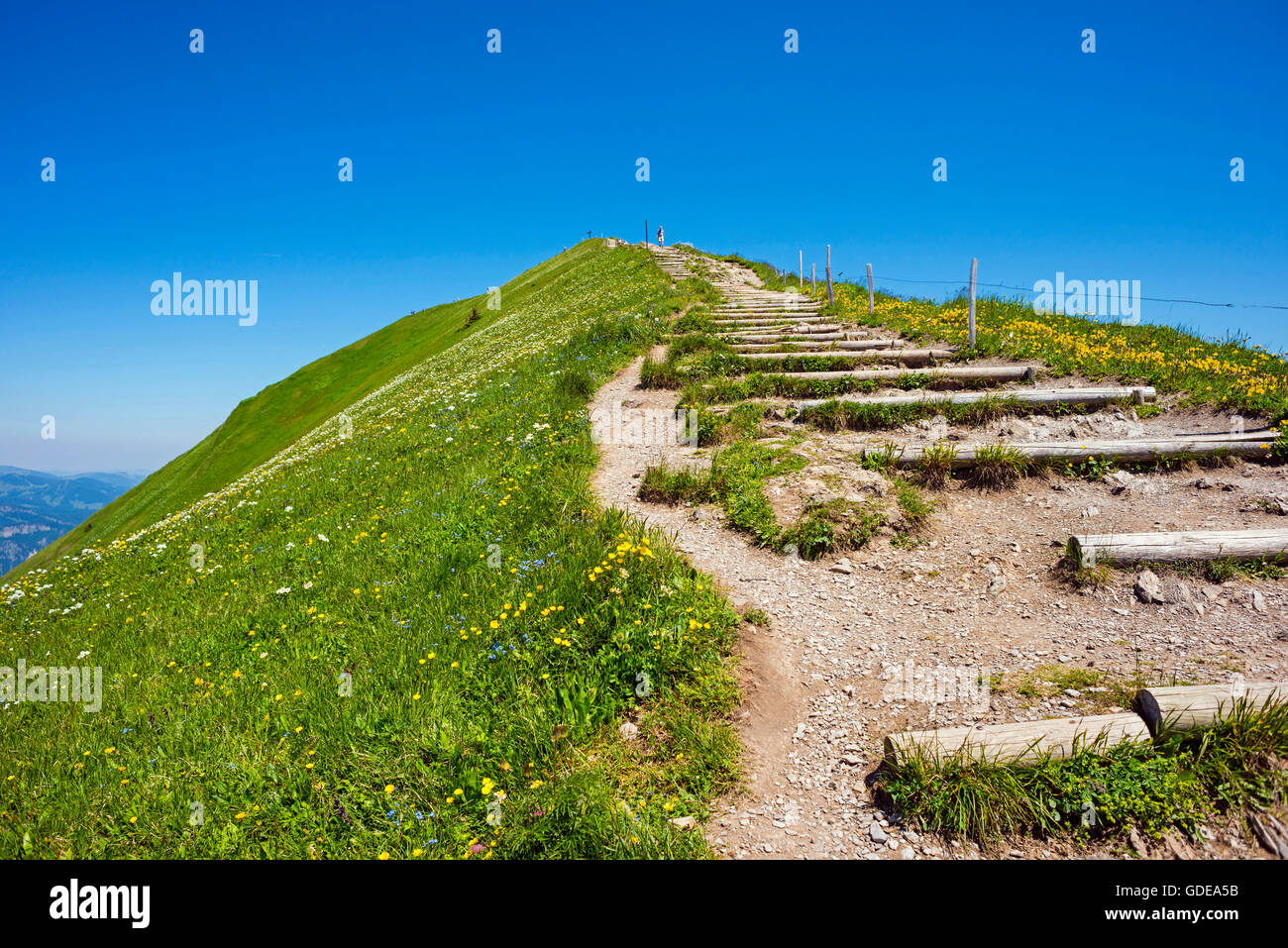 Ridge e il vertice di croce sul Fellhorn,nel 2038 m,Algovia Alpi,Baviera,germania,l'Europa Foto Stock