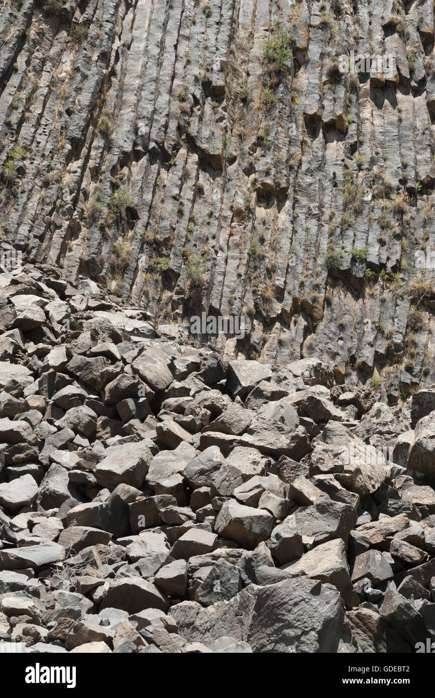 Colonne di basalto e rocce in Garni Gorge (anche chiamato 'Symphony delle pietre"), l'Armenia. Foto Stock