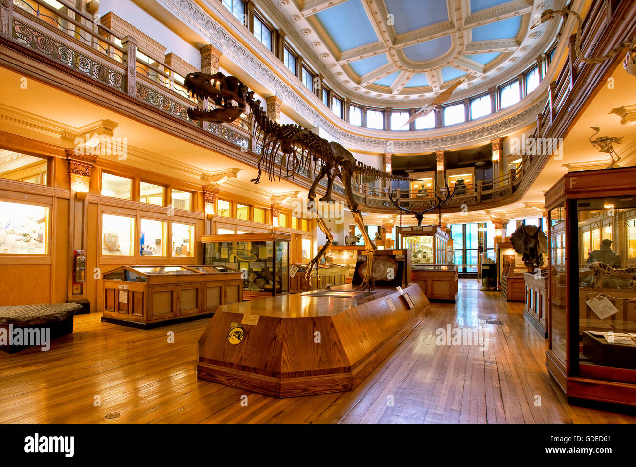 Redpath museum a Montreal Foto Stock