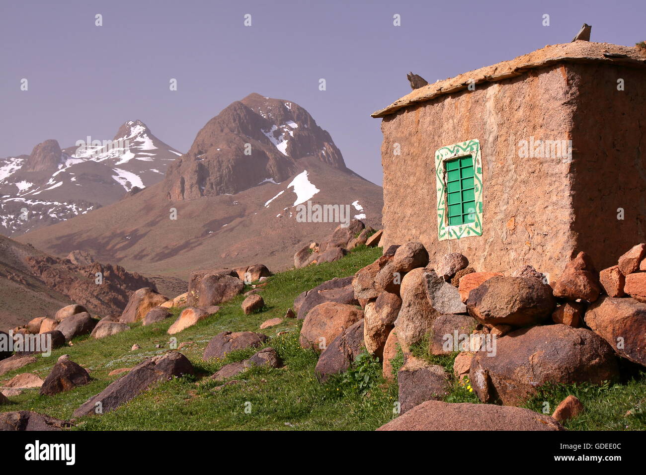 Ovile vicino al picco di Sirwa nelle montagne Atlas, Marocco, architettura berbera Foto Stock