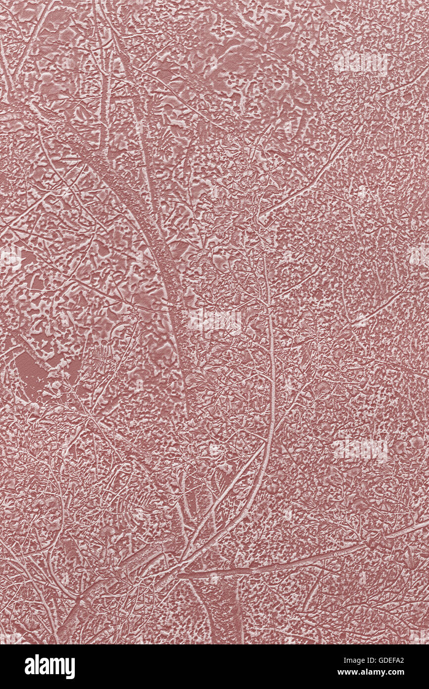 Texture morbida Parete in cemento stile di linea di albero sul dolce pastello colore rosa, pianura parete texture, albero forma o sagoma backg texture Foto Stock