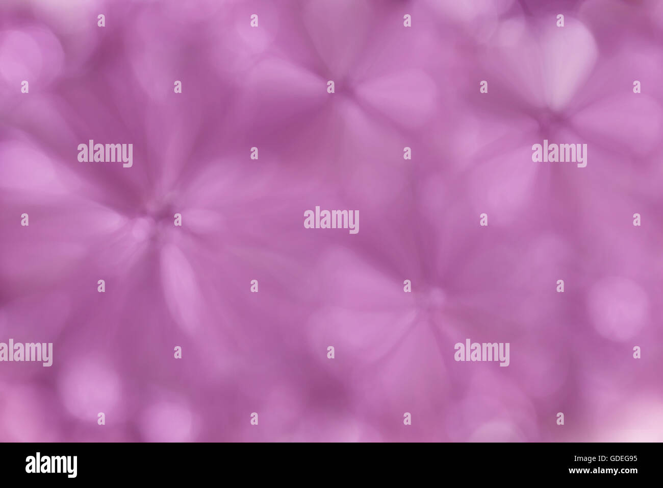 Abstract sfocata forma fiore morbido rosa pastello viola blossom sfondo a molla Foto Stock