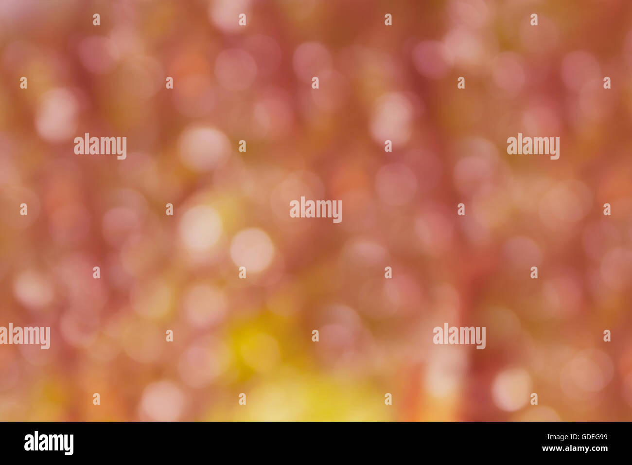 Scintilla e soffiare bokeh di fondo naturale nella meravigliosa fantasia rosa pastello arancio astratto molla sognante sfondo blossom Foto Stock