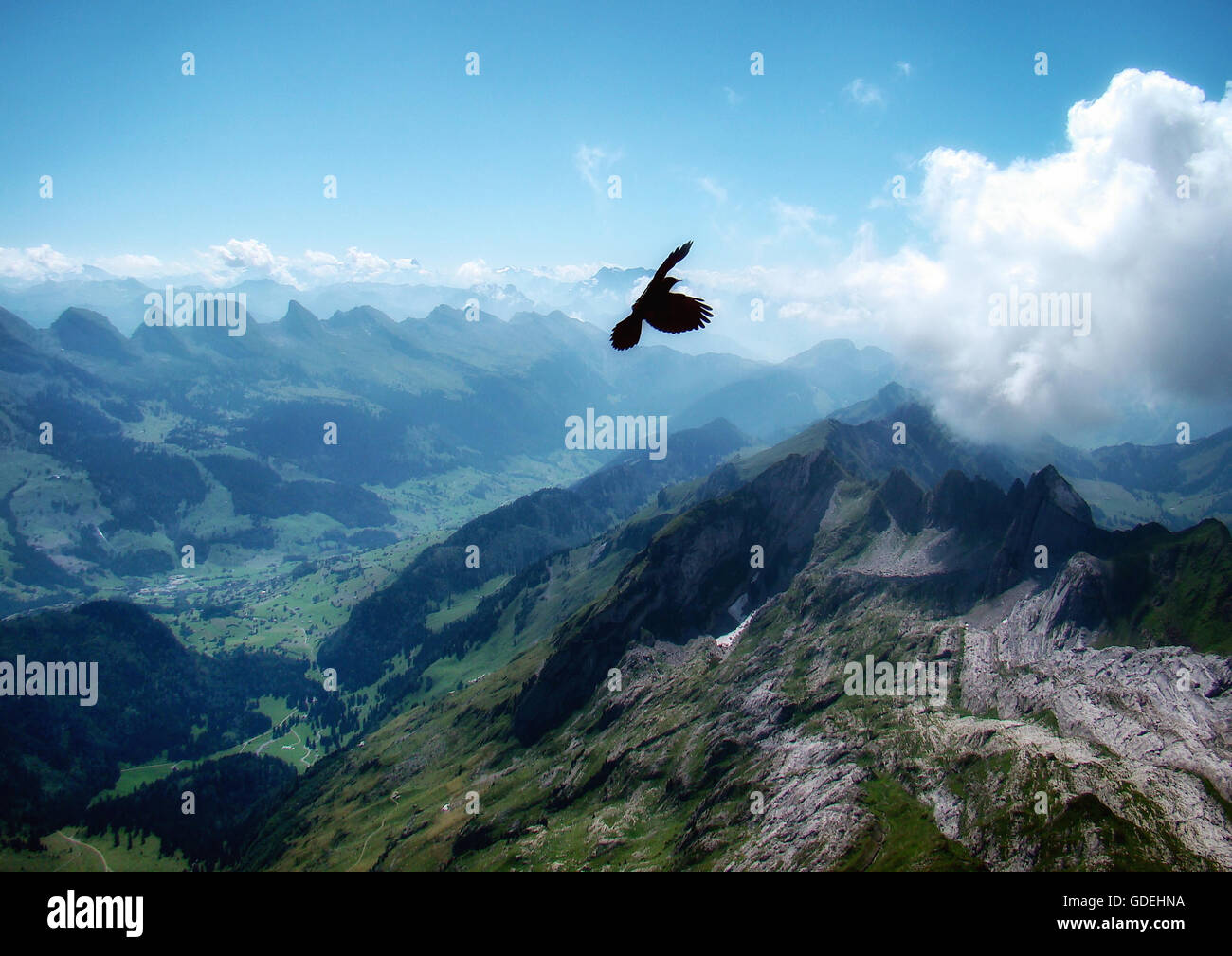 Gli uccelli rapaci che volano sopra Santis mountain, Schwende, Svizzera Foto Stock