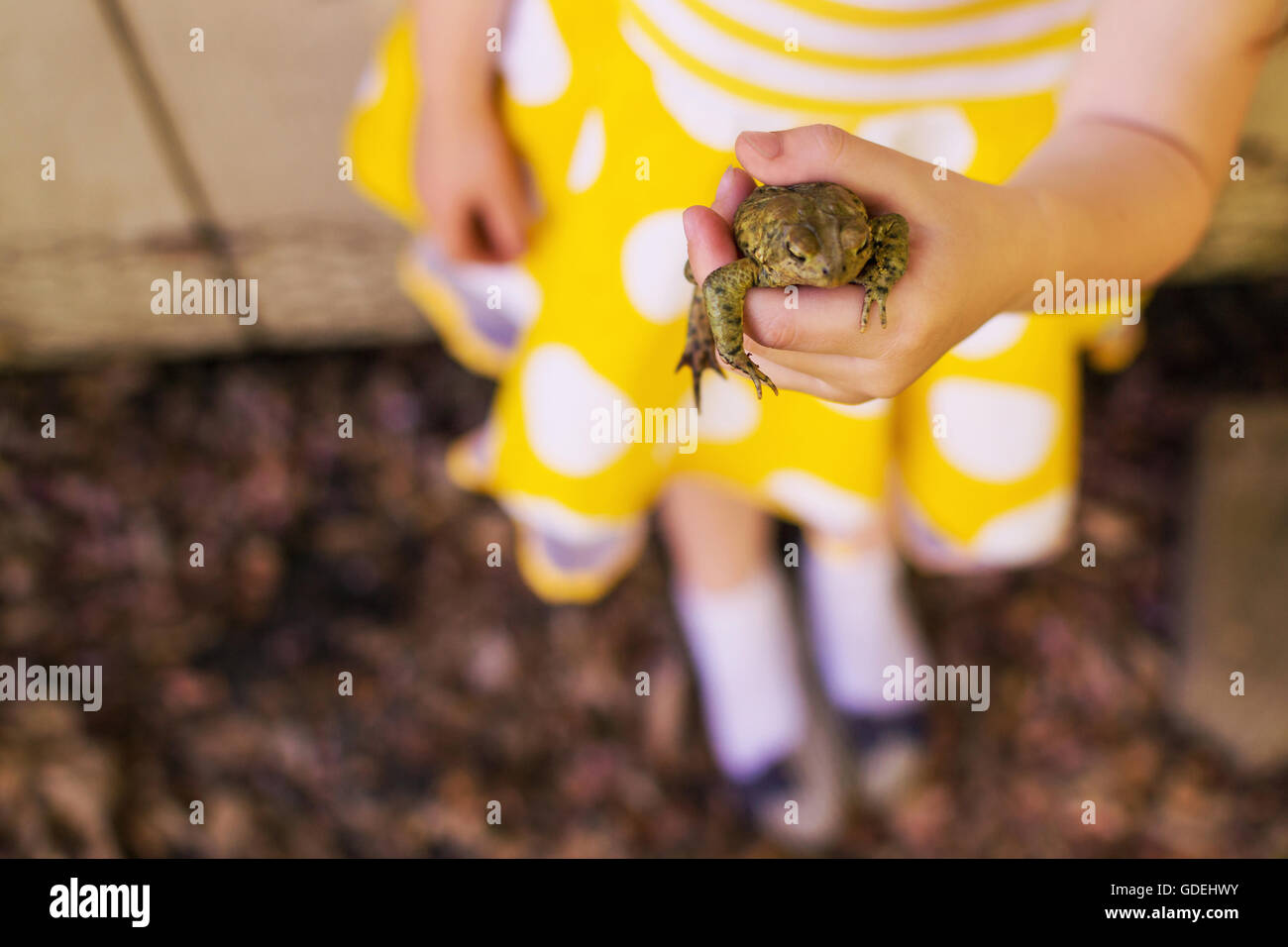 Ragazza con una rana Foto Stock