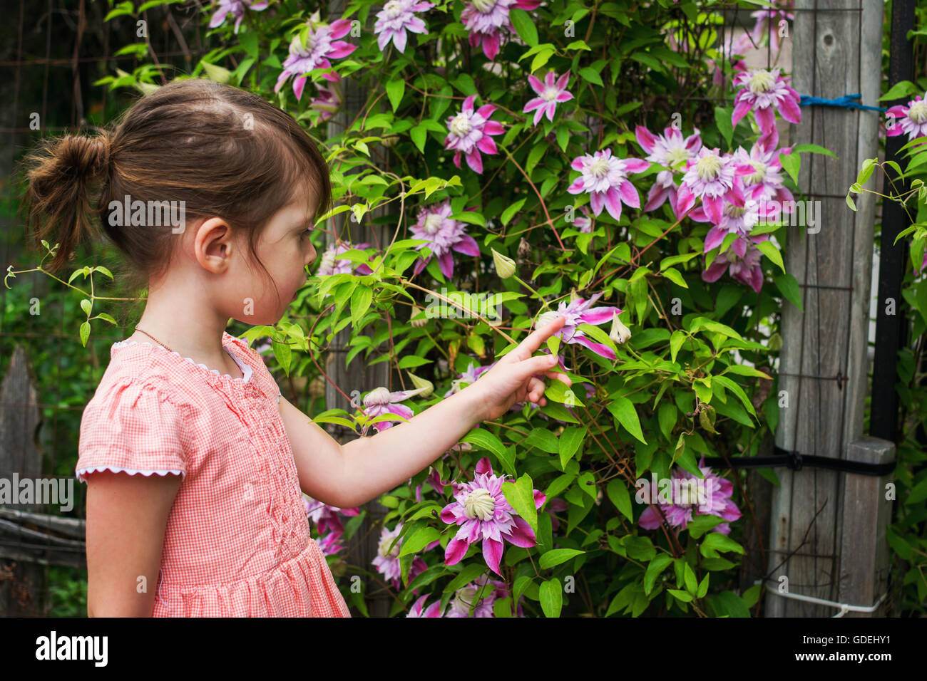 Ragazza guardando i fiori nel giardino Foto Stock