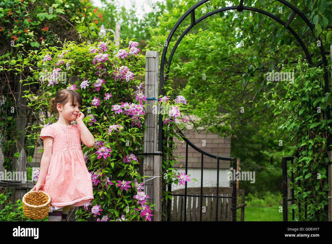 Ragazza sorridente dal cancello del giardino con cestello Foto Stock