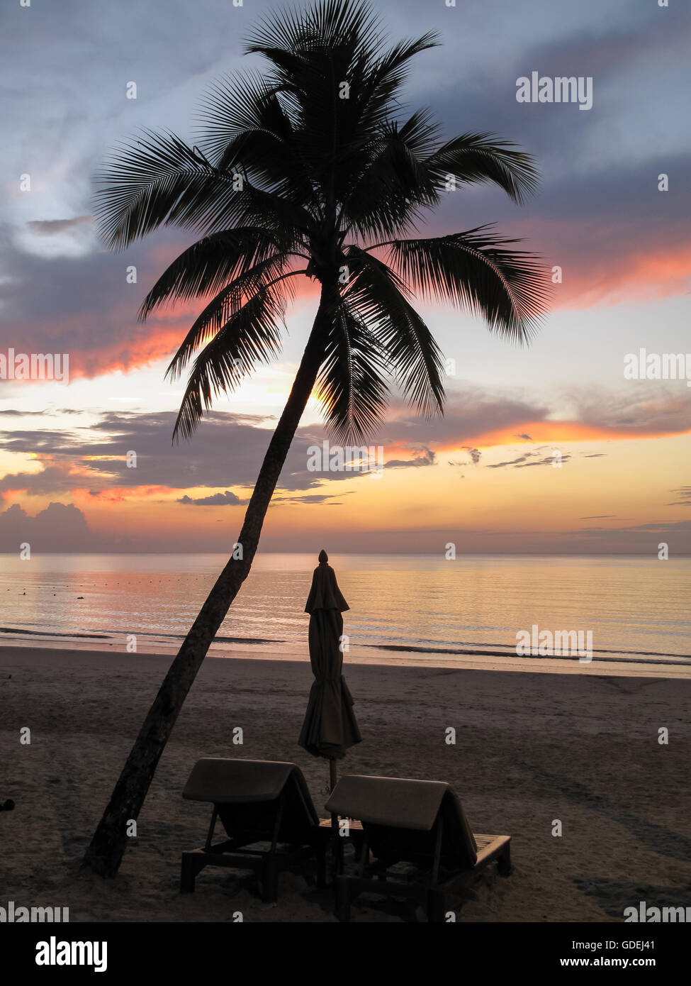 Silhouette di palma, sedie a sdraio e ombrelloni sulla spiaggia al tramonto Foto Stock