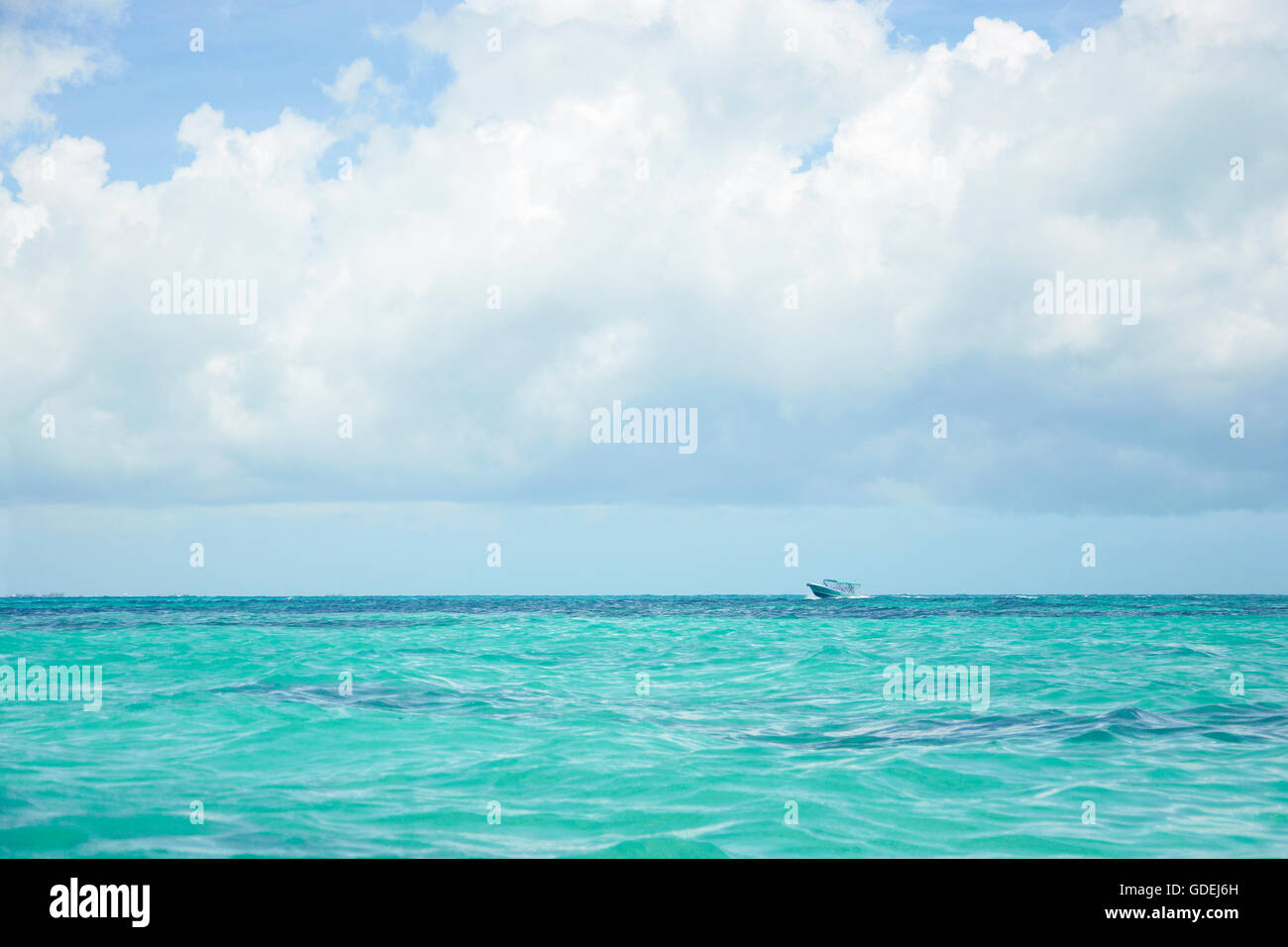 Speedboat vela nei Caraibi, Riviera Maya, Messico Foto Stock