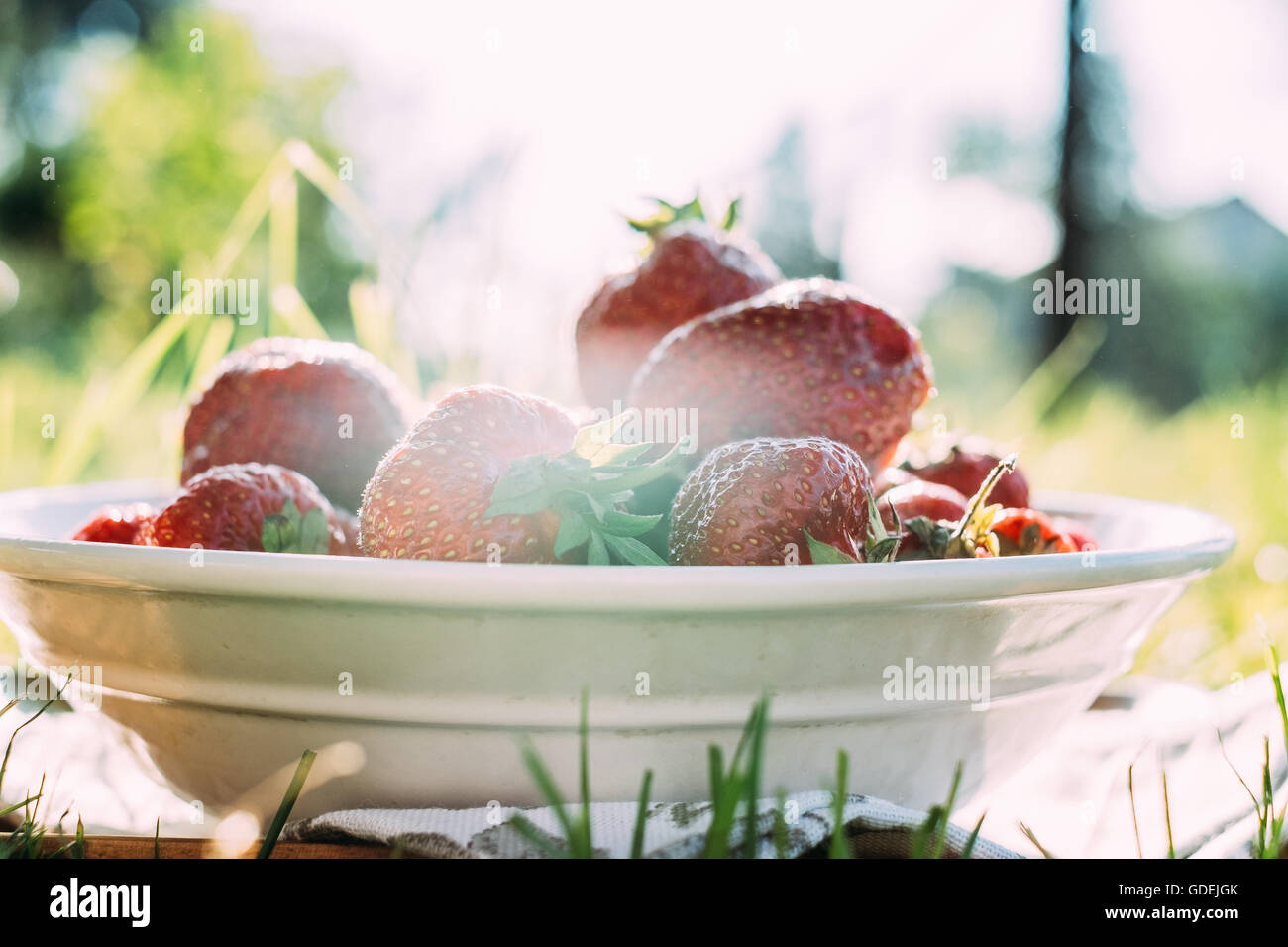 Coppa di fragole sul tavolo in giardino Foto Stock