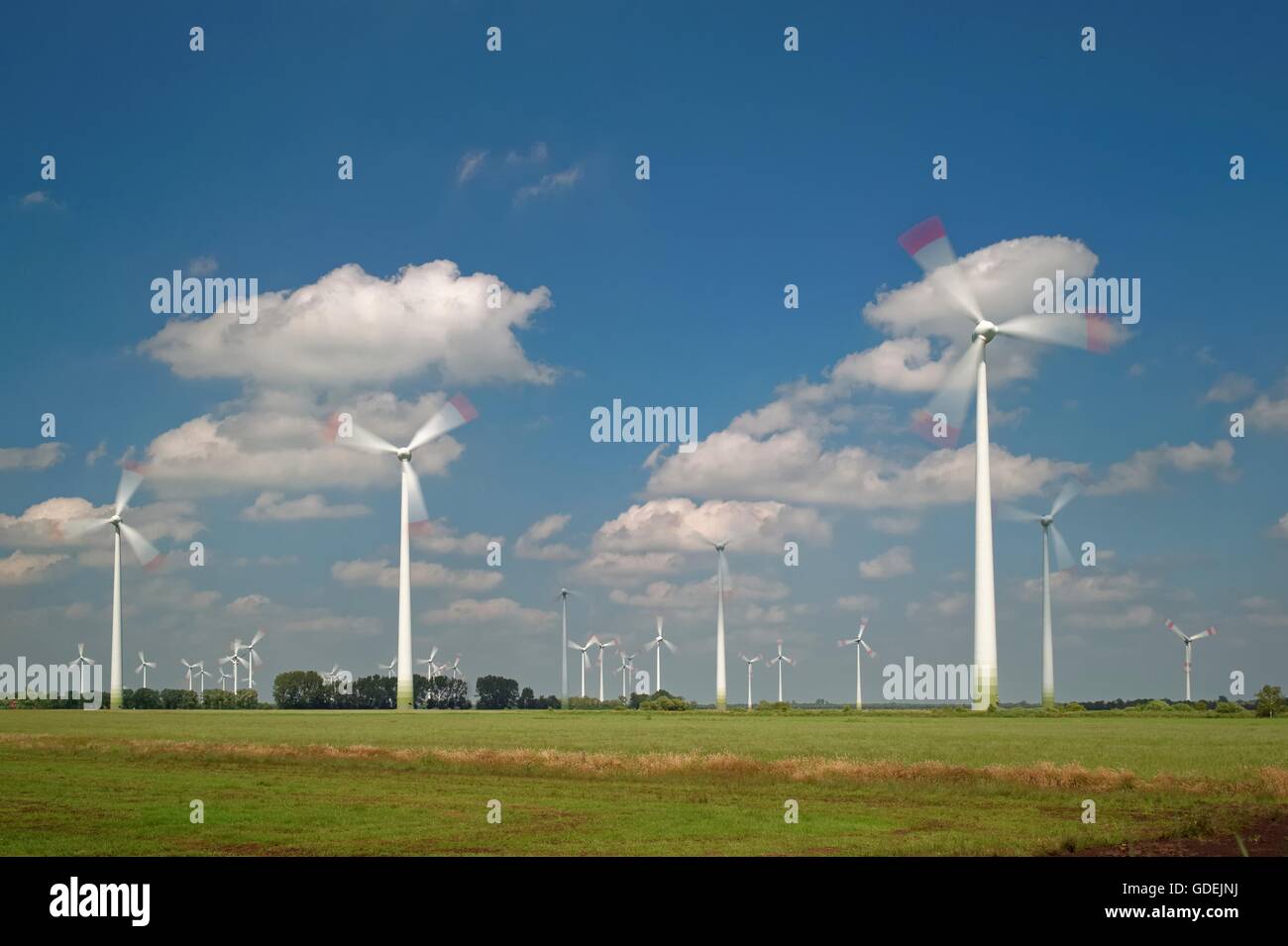 Turbina eolica farm, Ostfriesland, Bassa Sassonia, Germania Foto Stock