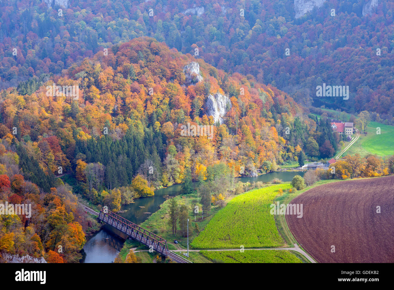 Vantage point,Baden-Wurttemberg,vicino Irndorf,ponte,alberi,germania,Danubio,Valle del Danubio,ponte ferroviario,l'Europa,fiume,r Foto Stock