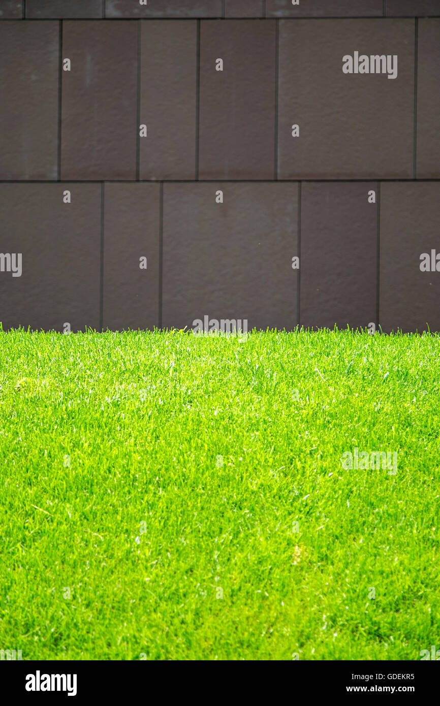 Dettaglio di erba verde e muro di pietra Foto Stock