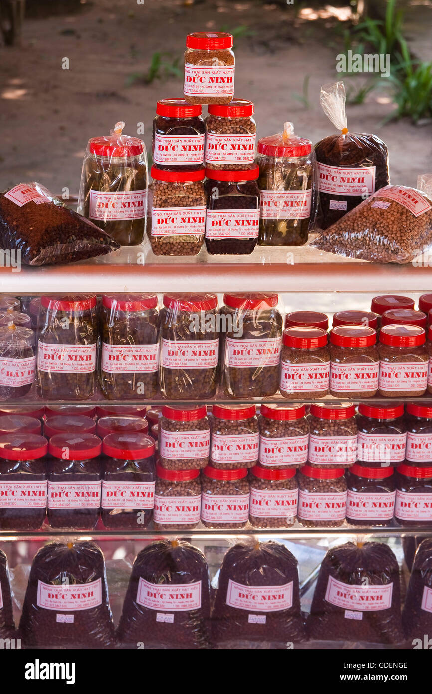 Pressione di stallo di tè, Phu Quoc island, Vietnam Foto Stock