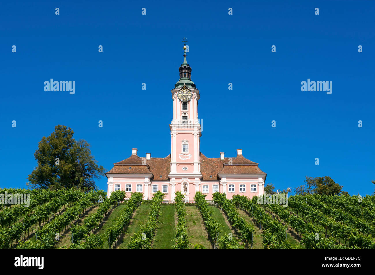 Chiesa del pellegrinaggio di Birnau, Lago di Costanza, Baden-Wuerttemberg, Germania Foto Stock