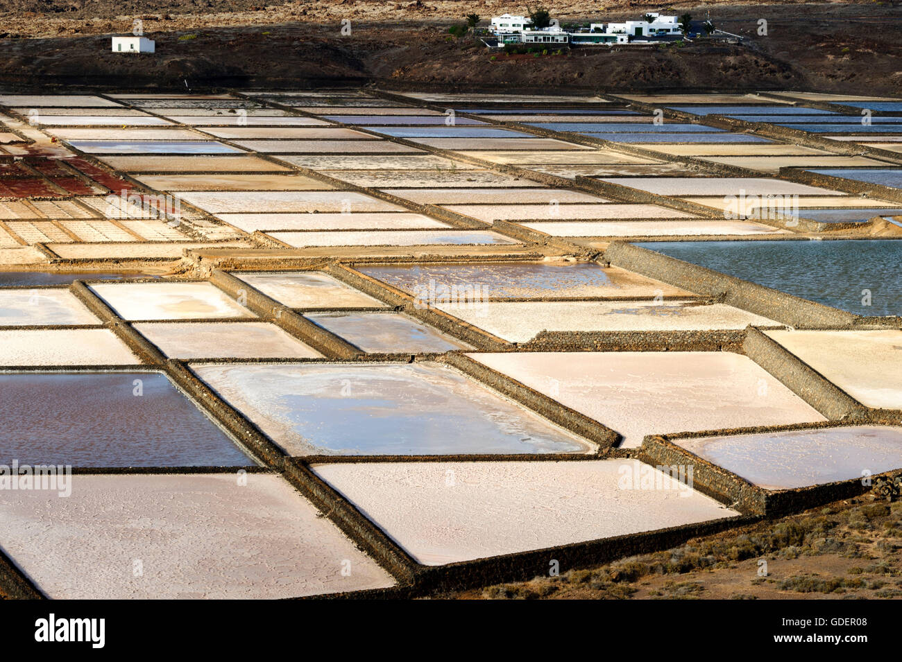 La soluzione salina, produzione di sale, Yaiza, Lanzarote, Isole Canarie, Spanien / Salinas de Janubio Foto Stock