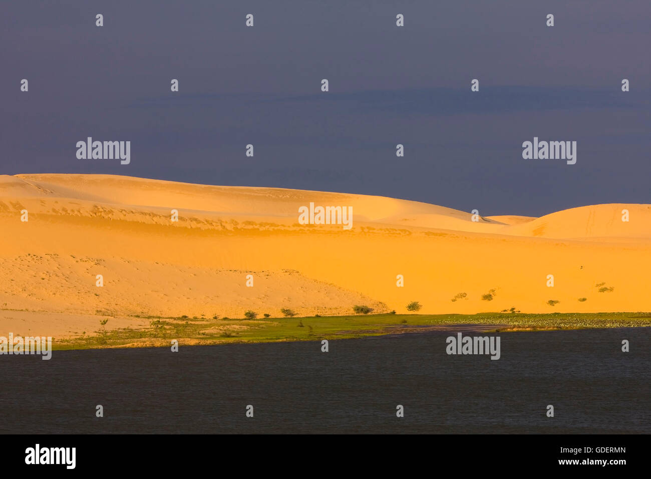 Le dune di sabbia bianca, Mui Ne, Vietnam Foto Stock