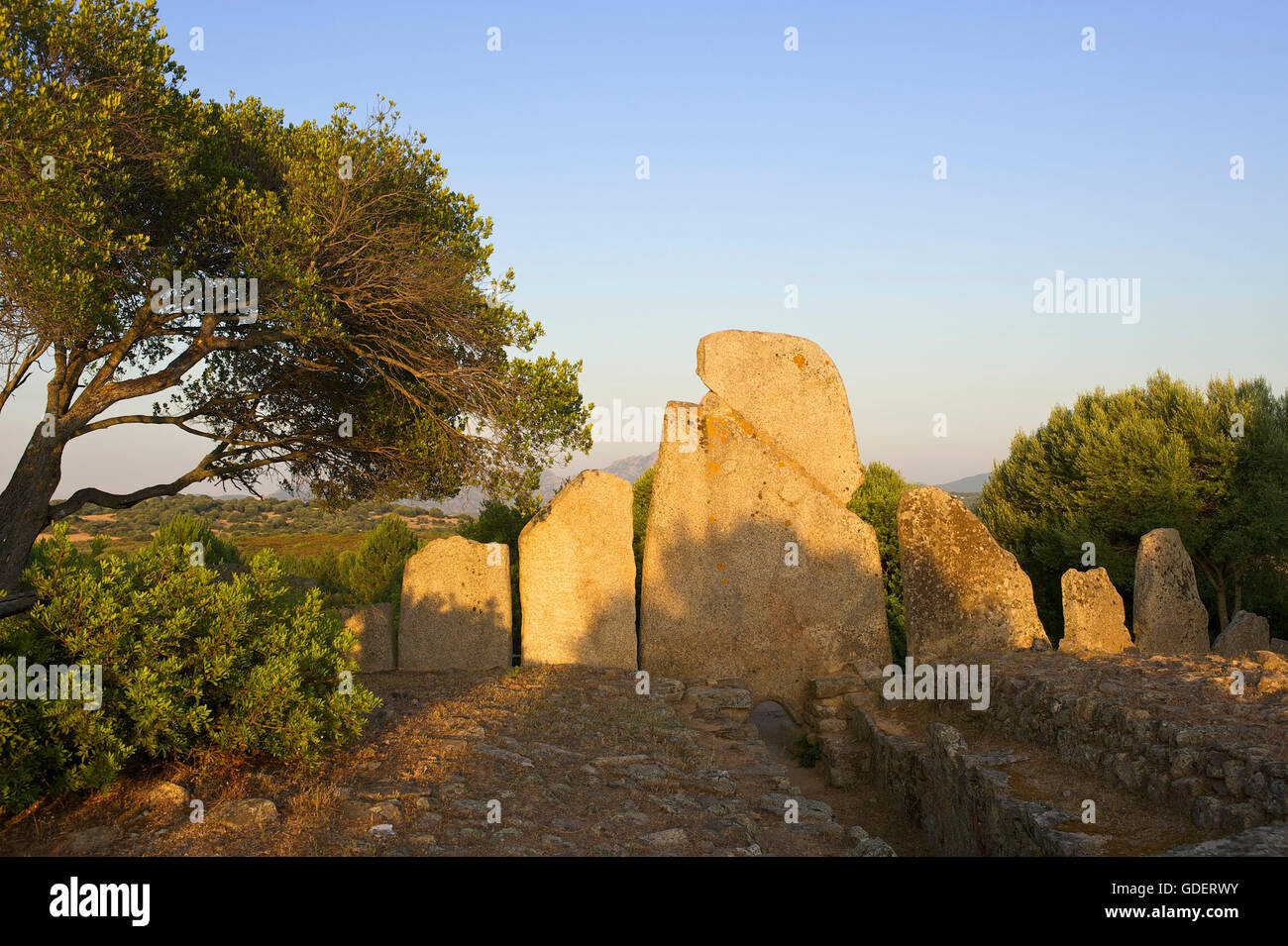Civiltà Megalitica Tomba di Li Lolghi vicino a Arzachena, Sardegna, Italia Foto Stock