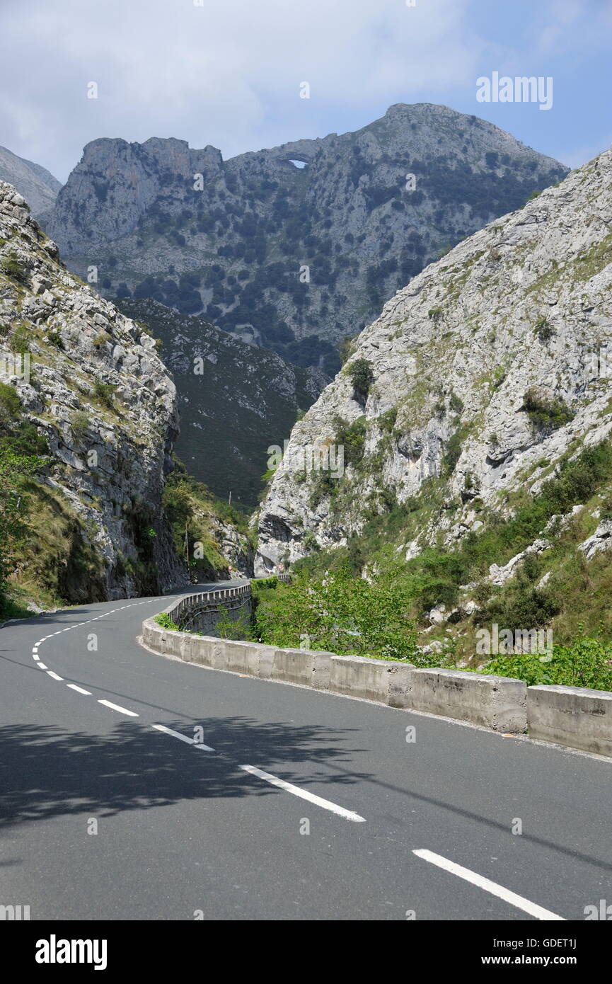 Road, Picos de Europa, Asturie, Spagna Foto Stock