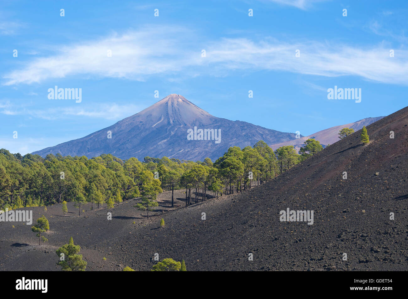 Il Teide Mountain, Parque Nacional del Teide Tenerife, Isole Canarie, Spagna Foto Stock