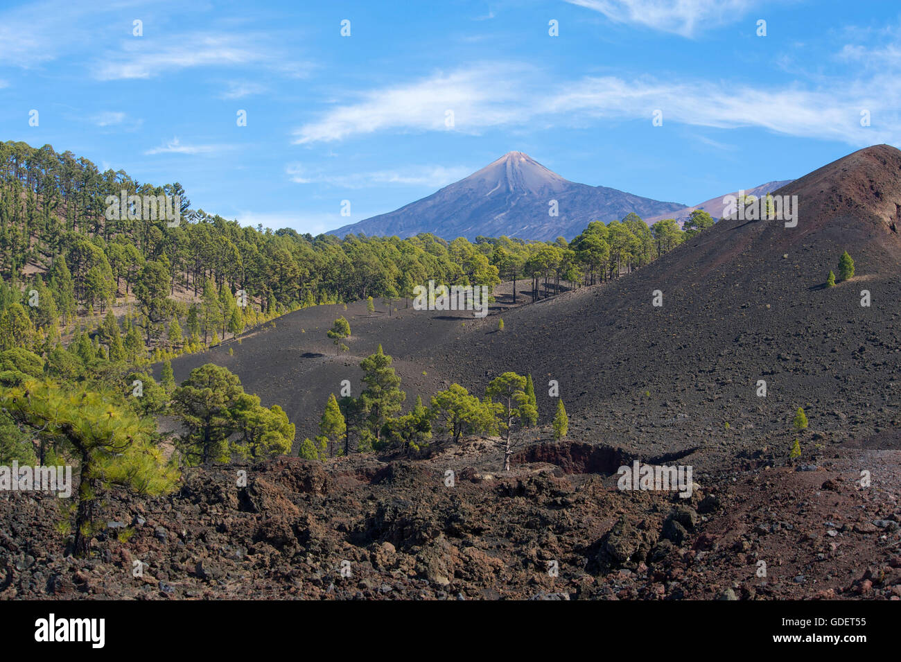 Il Teide Mountain, Parque Nacional del Teide Tenerife, Isole Canarie, Spagna Foto Stock