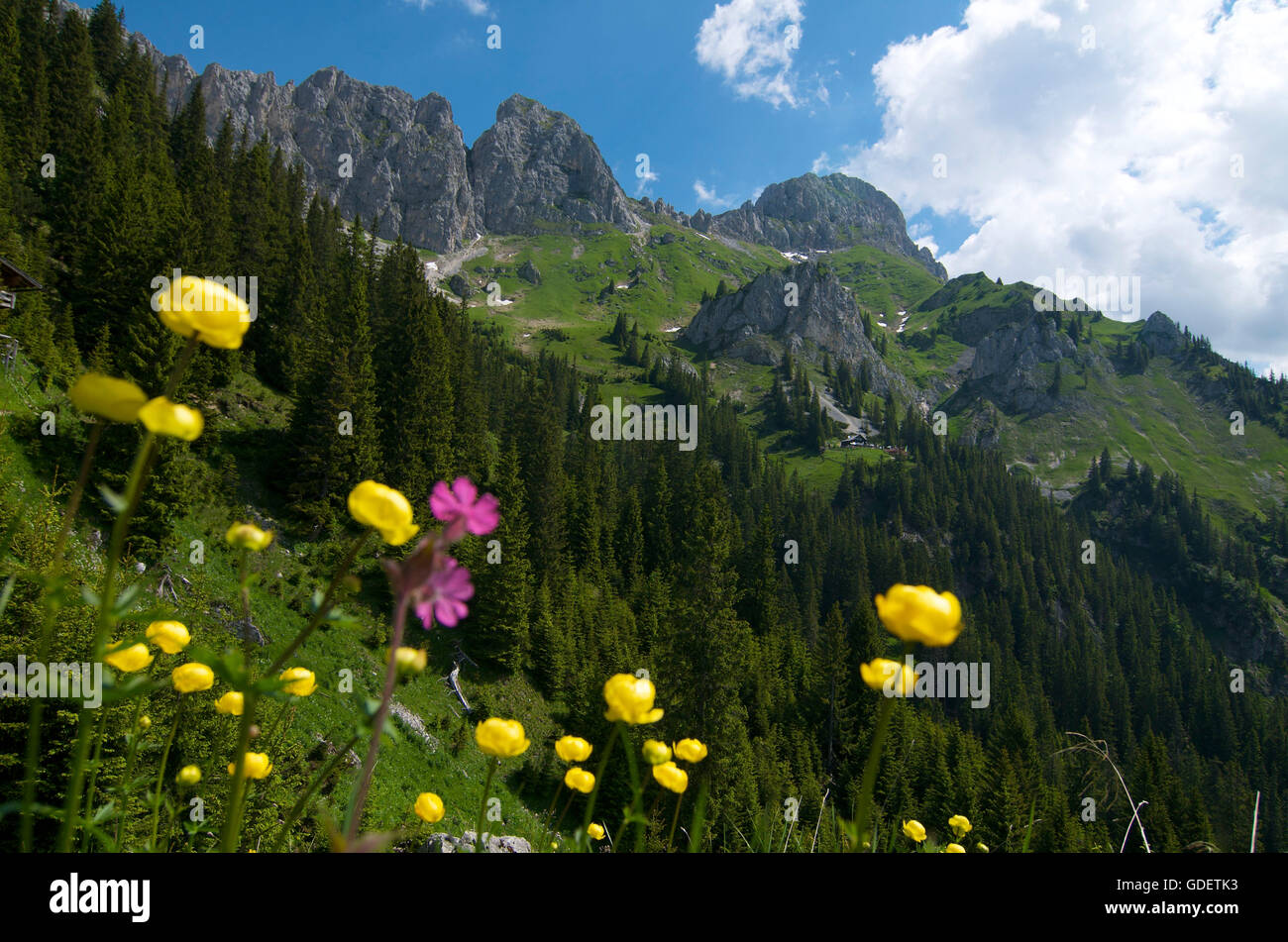 Tannheimer montagne, Valle di Tannheim, Allgaeu, Baviera, Germania Foto Stock