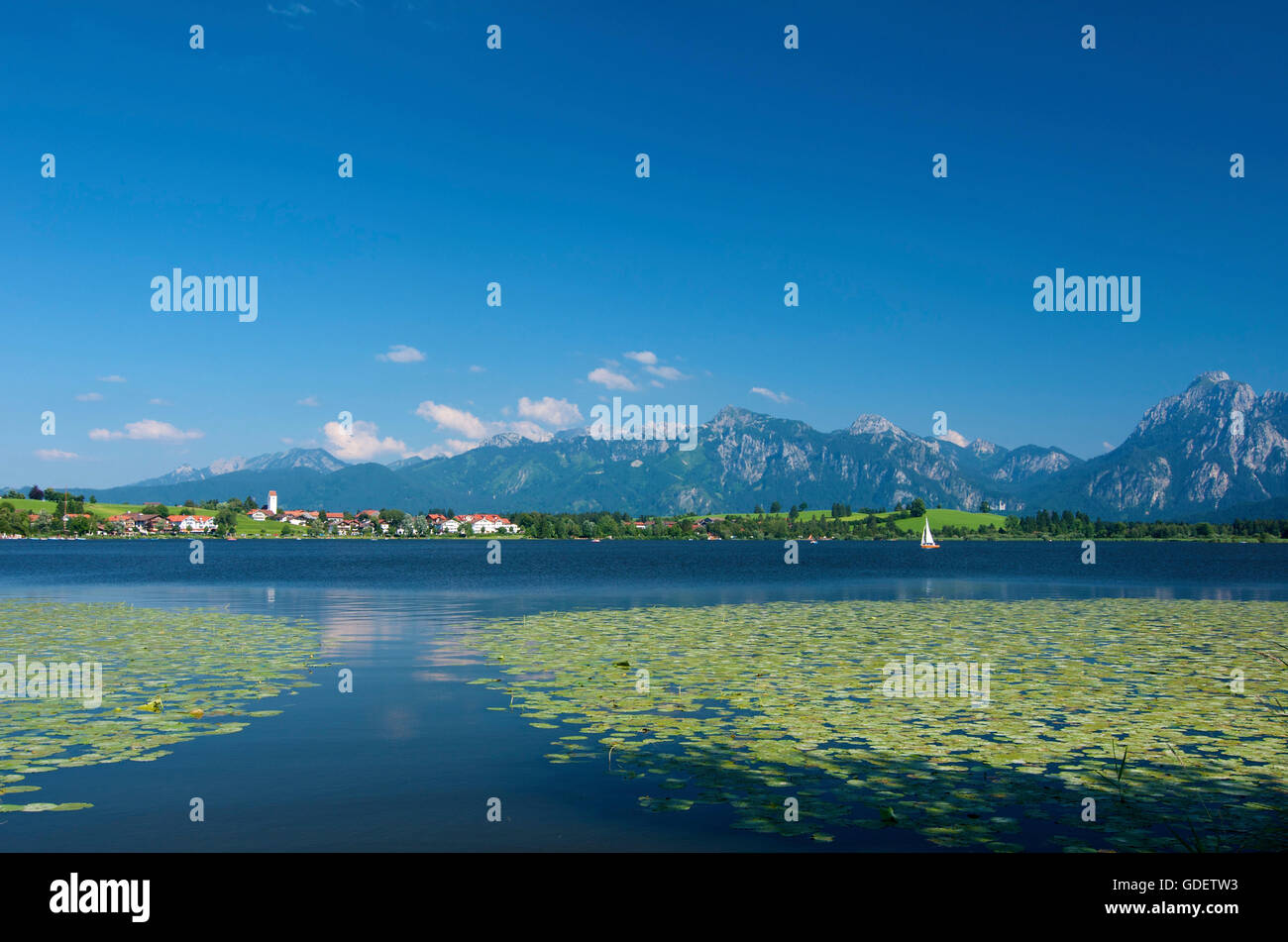 Lago Hopfensee, Allgaeu, Baviera, Germania Foto Stock