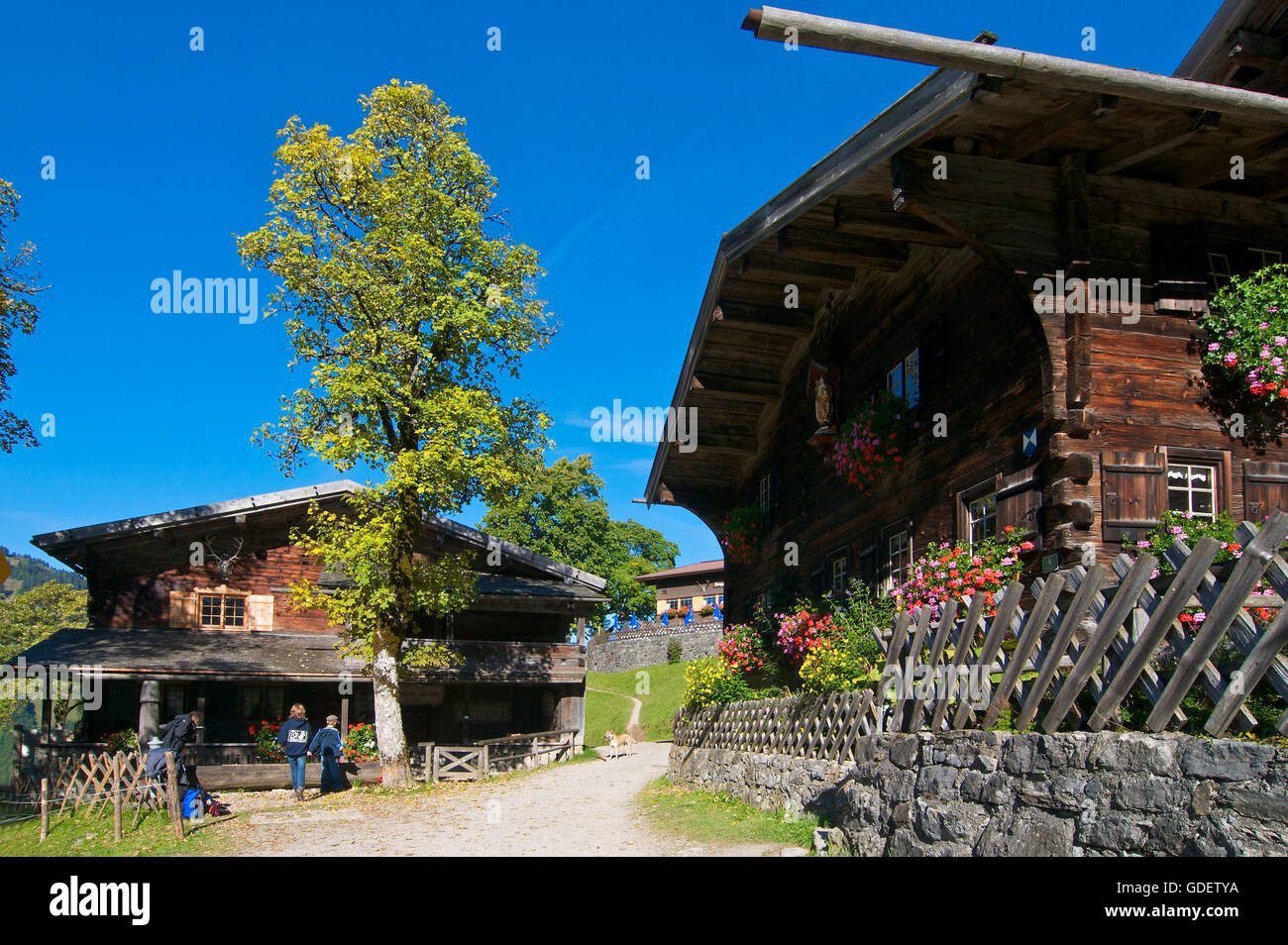 Casa Tradizionale Gerstruben vicino a Oberstdorf, Allgaeu, Baviera, Germania Foto Stock