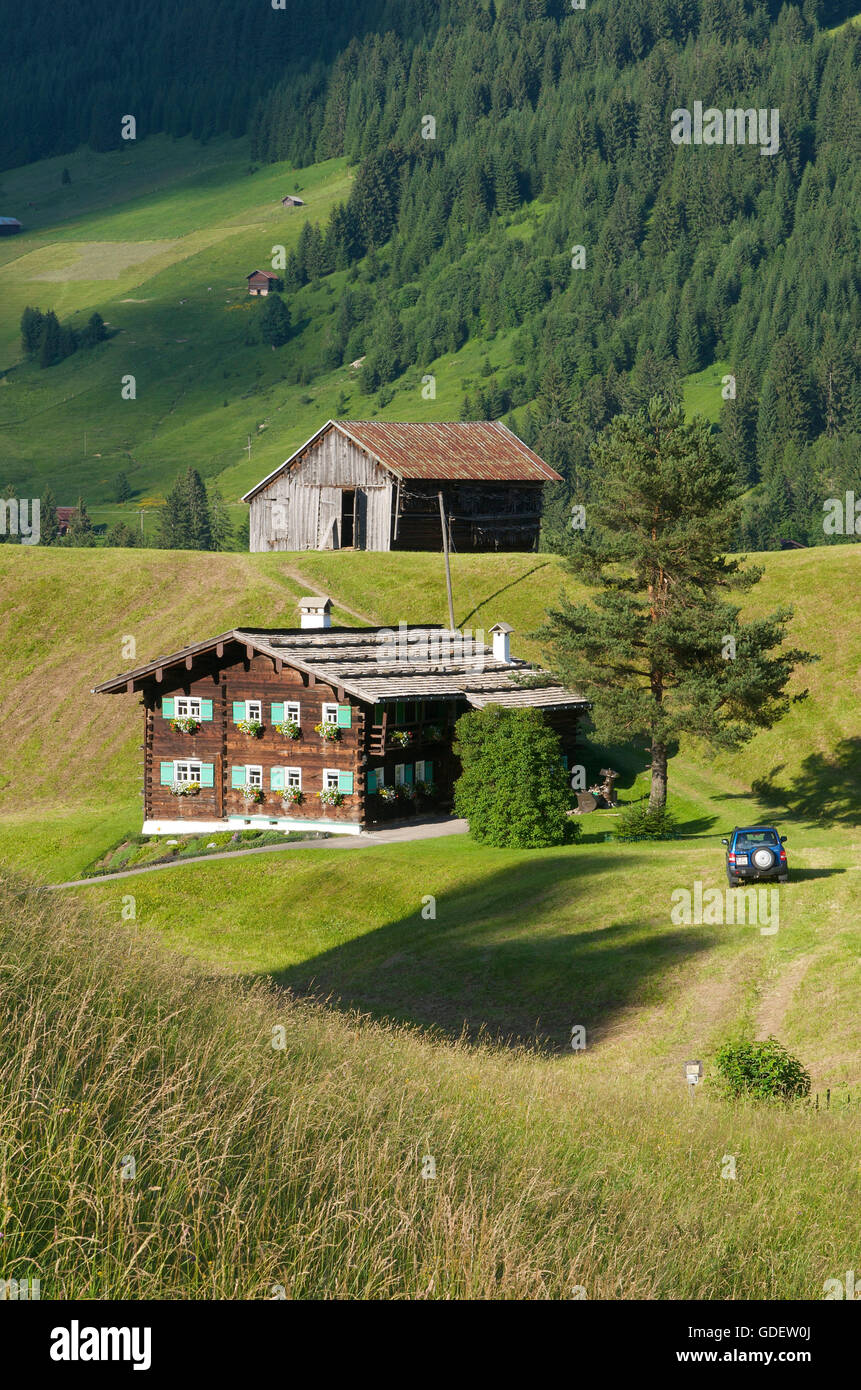 I masi, valle Kleinwalsertal, Allgaeu, Vorarlberg, Austria Foto Stock