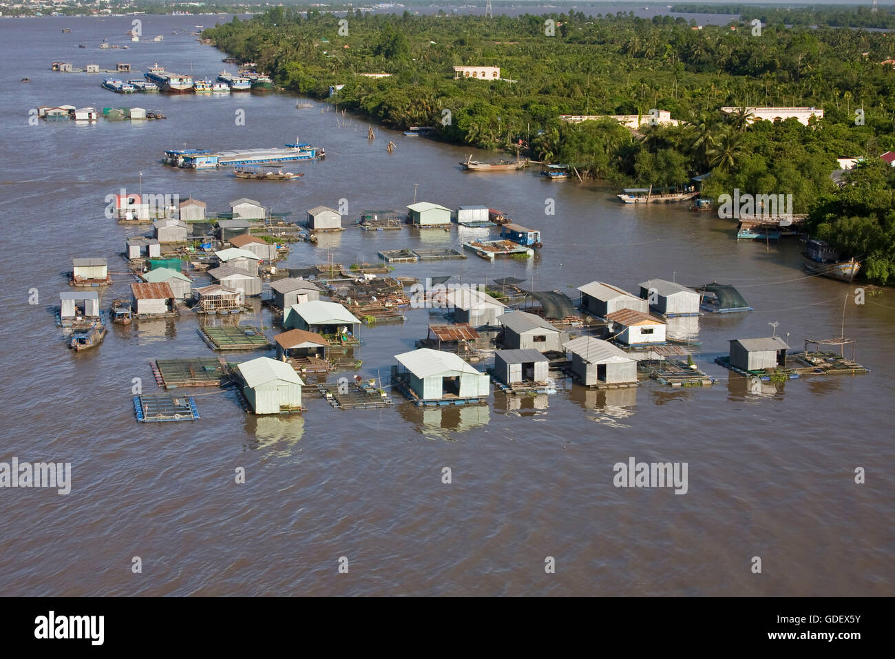 Le case galleggianti, vicino a My Tho,-Delta del Mekong, Vietnam Foto Stock