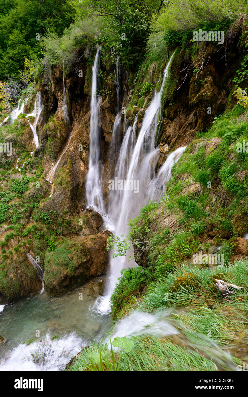 Croazia, Europa, giugno 2013, Nationalpark Plitvicer visto Foto Stock