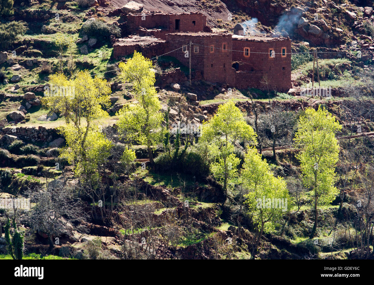 Marocco, Africa, Villaggio, alta montagna Atlas Foto Stock