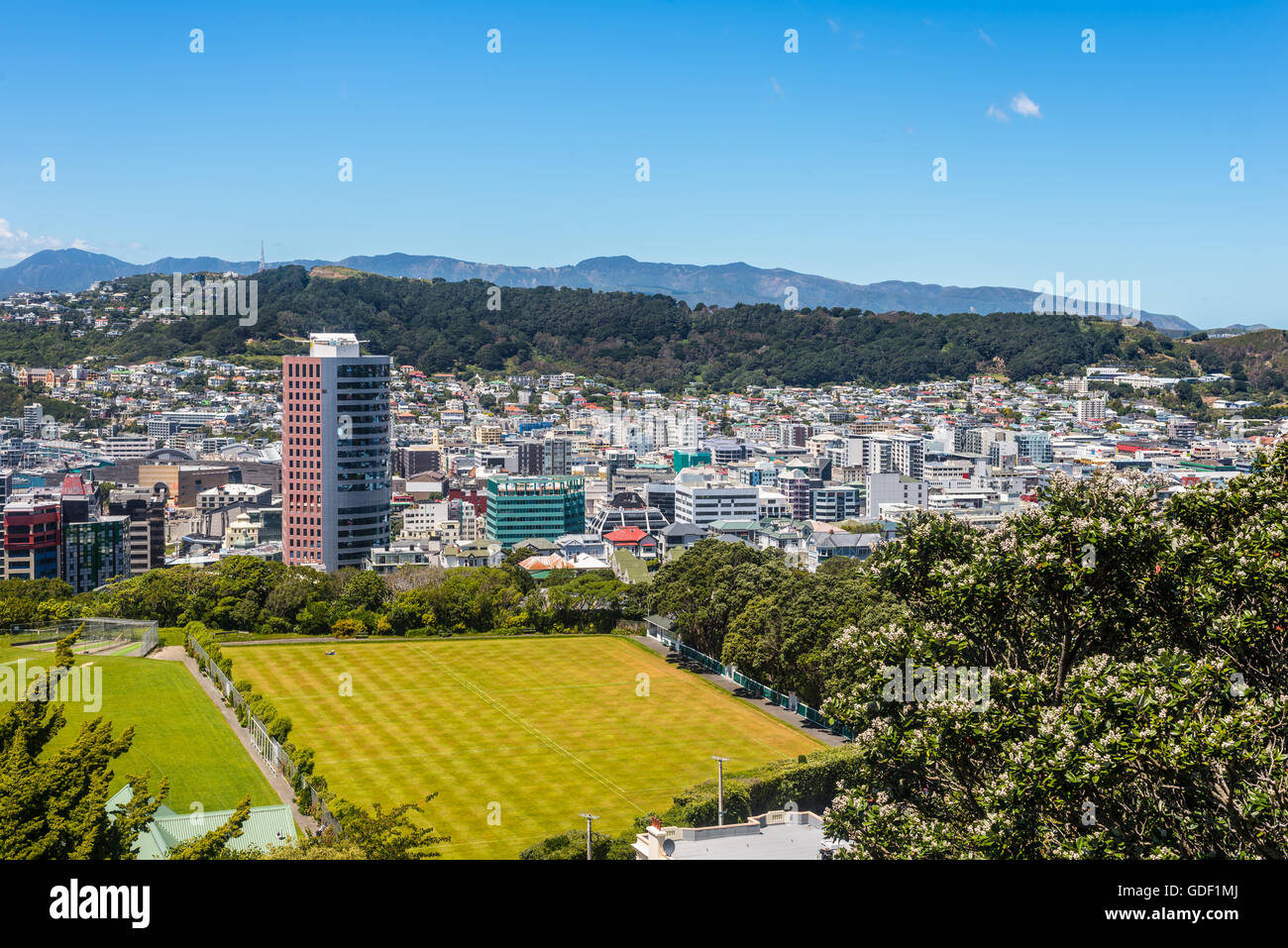 Vista di Mt Victoria su Wellington CBD, città capitale della Nuova Zelanda. La moderna architettura e il Campo da Cricket in primo piano. Foto Stock
