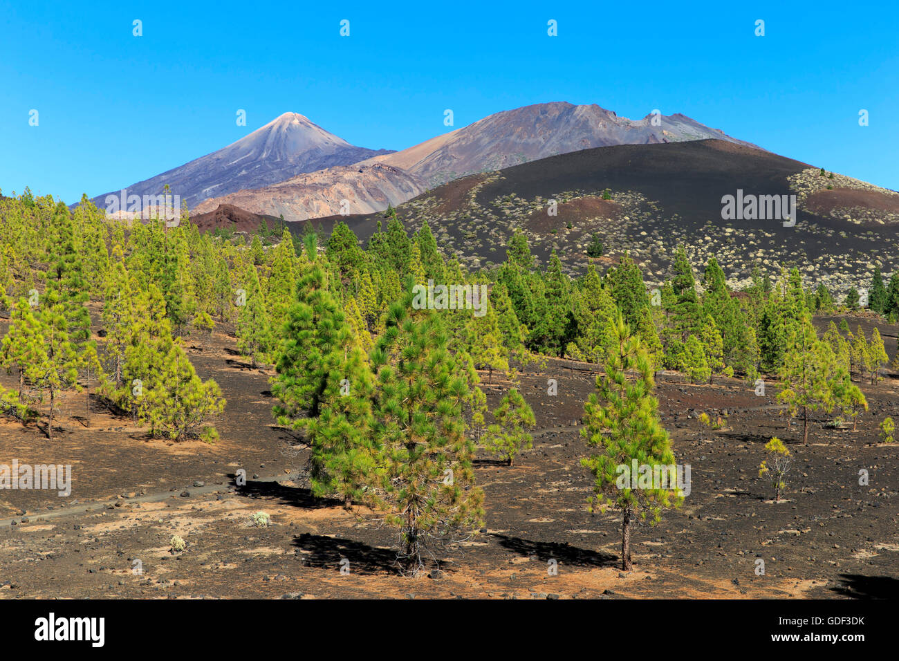 Tenerife, Europa Spagna Isole Canarie Nationalpark del Teide Las Canadas, Vulcane Pico del Teide Pico Viejo Foto Stock