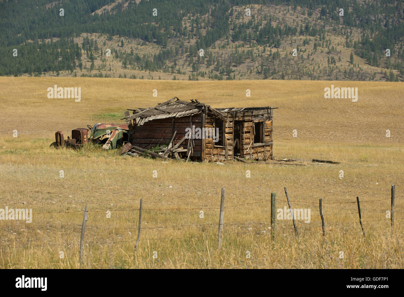 Il vecchio si è deteriorata homestead log cabin nella valle di Nicola, Merritt Columbia Britannica. Foto Stock