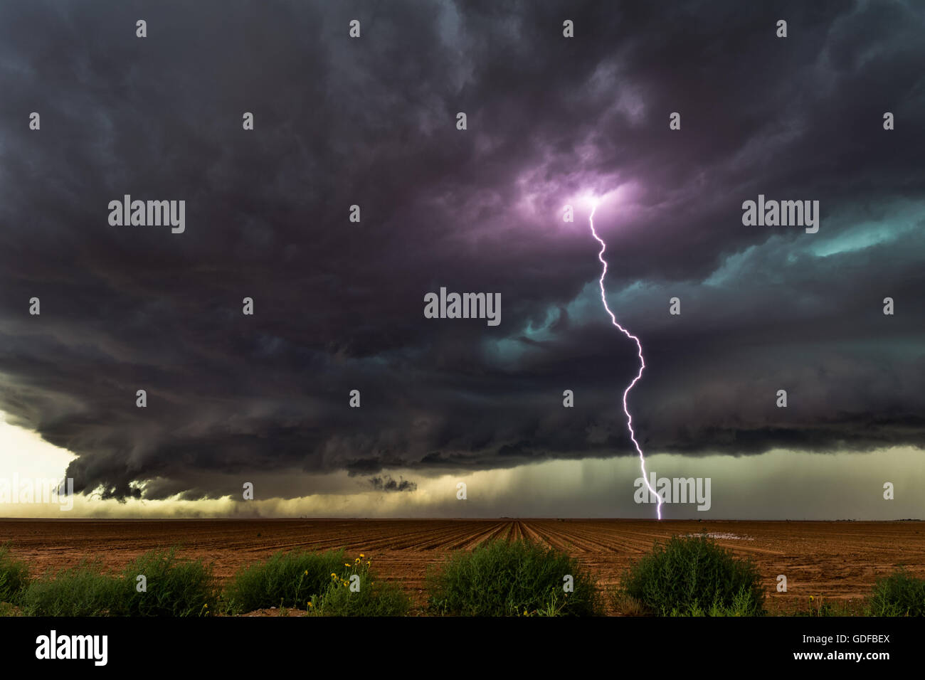Nuvole di tempesta scura e fulmini da un temporale su un campo vicino Ackerly, Texas Foto Stock
