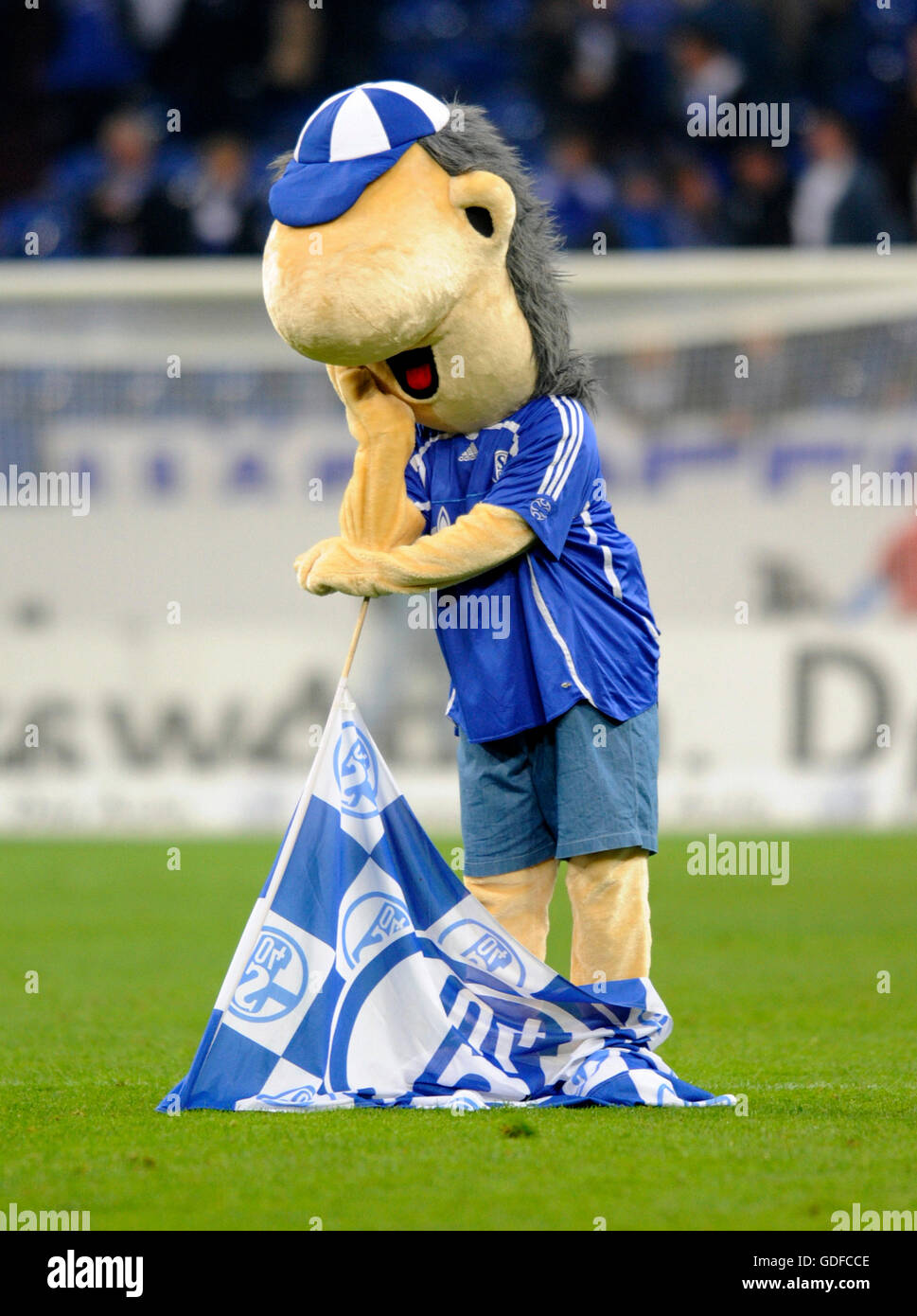 Schalke mascotte, Erwin, cercando frustrato dopo il fischio finale, Bundesliga Football League, stagione 2010-2011, 4° round, FC Foto Stock