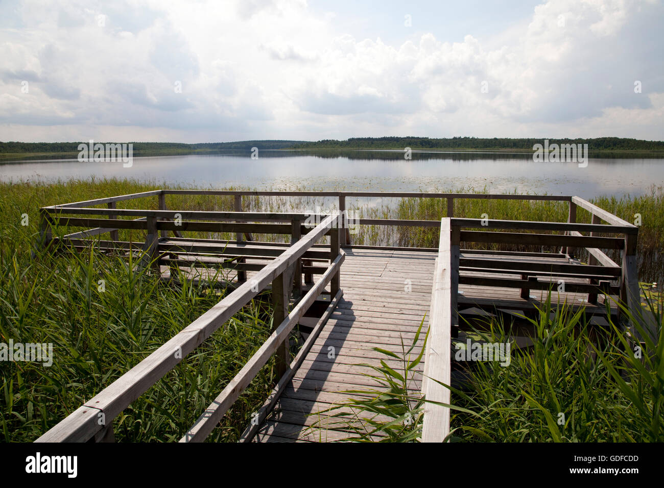 Piattaforma di avvistamento su Priesterbaeker Lago Mueritz National Park, Meclemburgo-Pomerania Occidentale Foto Stock